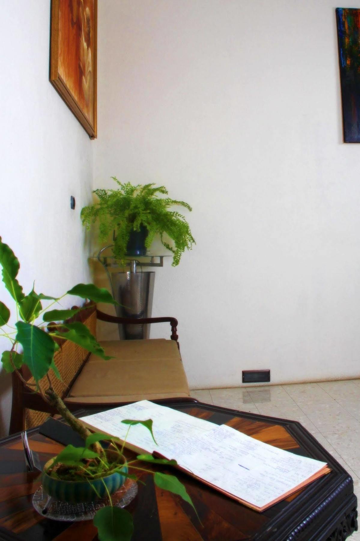 Lodge 19 Negombo Exterior photo
